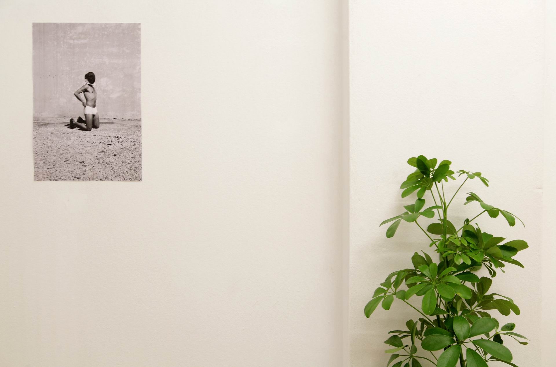 Φωτογραφία του Joshua Valageorgiou .