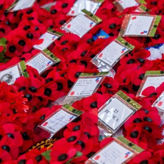 Σαν σήμερα έληξε ο Α’ Παγκόσμιος Πόλεμος και στο Βέλγιο μνημονεύουν το τέλος του