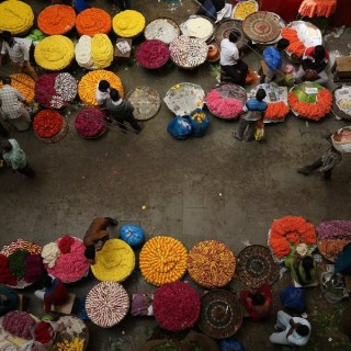 Ινδία: «No money, no honey»