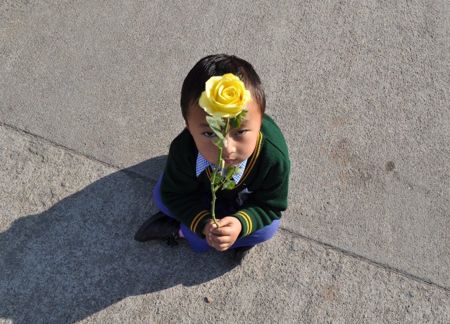 epaselect epa05650501 A Tibetan child, living-in-exile in India, holds a rose as he waits to welcome Tibetan spiritual leader, the Dalai Lama (unseen) at the Gagal airport, near Dharamsala, India, 28 November 2016. The Dalai Lama came back from Japan after imparting spiritual teachings there.  EPA/SANJAY BAID