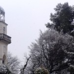 Στα λευκά η Λαμία