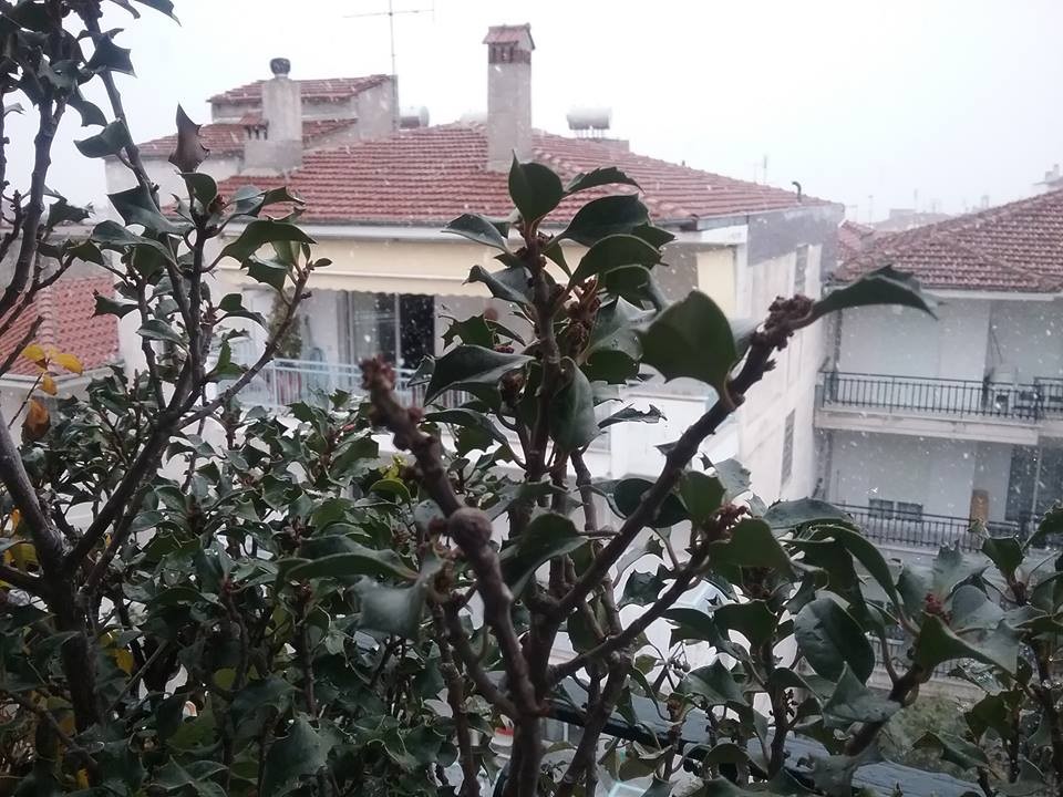 46d630e00b7a56026033d4614479a2e5