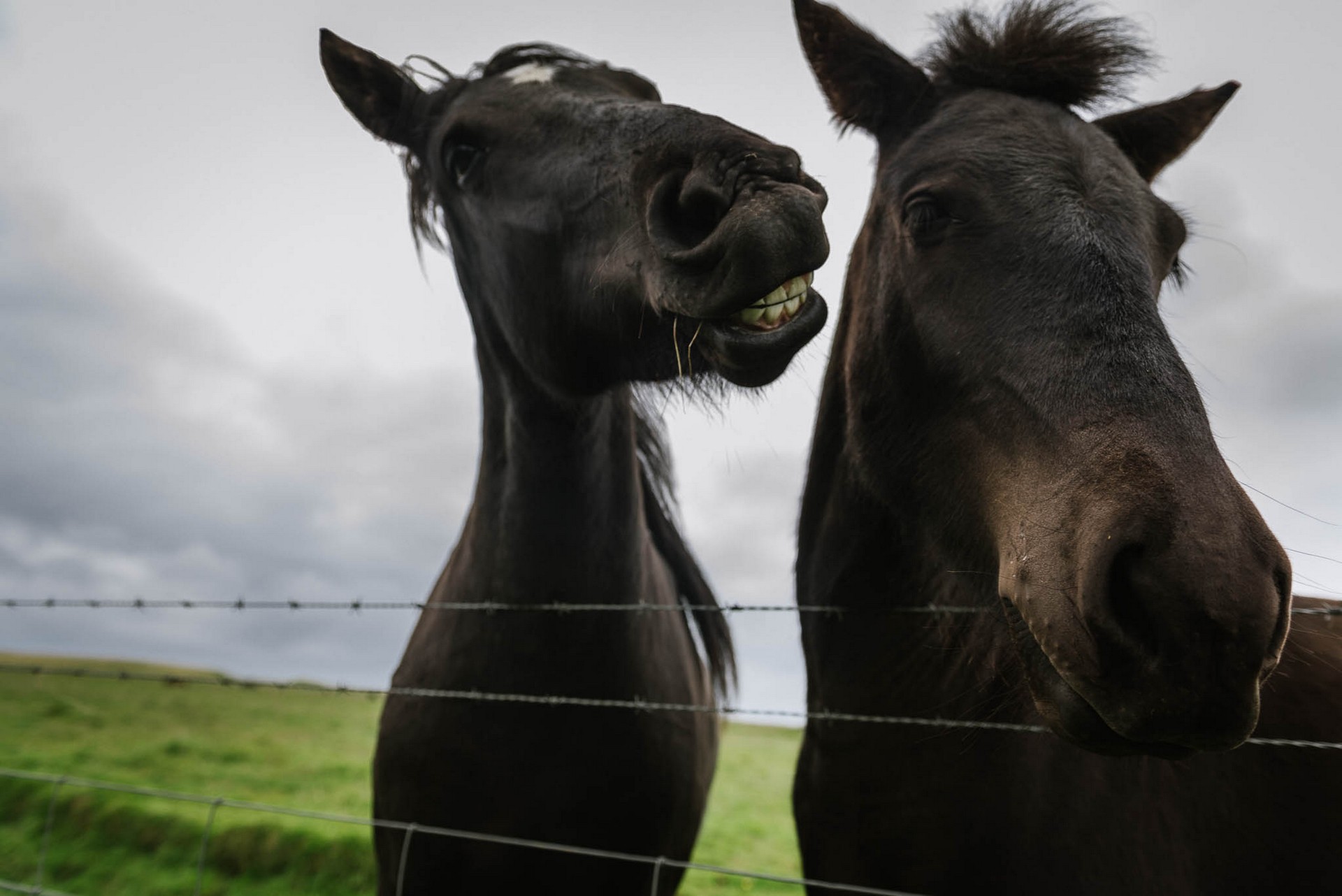 chrissakis_icelandr20