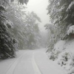 Πλησιάζει το πολικό ψύχος από τη Ρωσία, δείτε ποιές περιοχές θα πλήξει