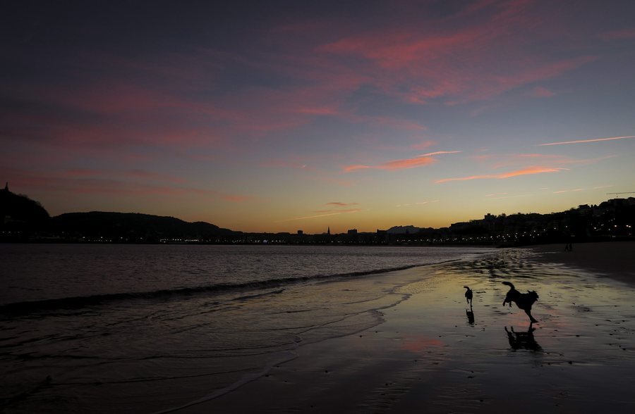 epa05674944 Two dogs play in the Ondarreta Beach at dawn in San Sebastian, Basque Country, northern Spain, 14 December 2016. Clear sky and mild temperatures are expected in San Sebastian later in the day.  EPA/JAVIER ETXEZARRETA