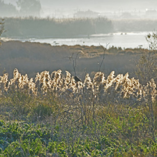 Παγωμένη Αργολίδα