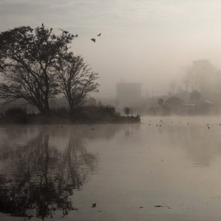 Αποδημητικά πουλιά στο Νεπάλ