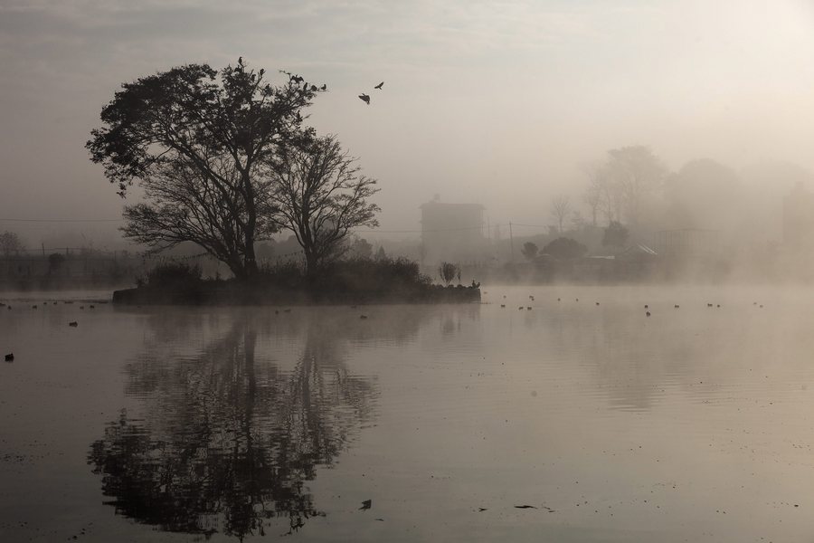 epa05684065 A general view shows migratory darter birds during a misty morning at Taudaha Lake, on the outskirts of Kathmandu valley, Nepal, 21 December 2016. Nepal, due to its favorable breeding environment, is a destination for migratory birds coming from South East Asia as well as from Africa and Australia.  EPA/HEMANTA SHRESTHA