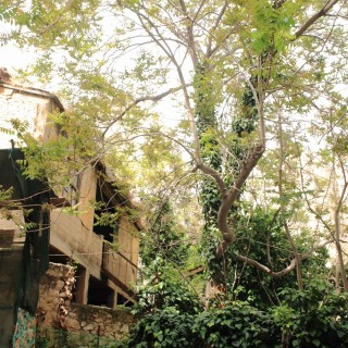 20+1 λόγοι για τους οποίους το Παγκράτι είναι τώρα η πιο ενδιαφέρουσα γειτονιά της Αθήνας