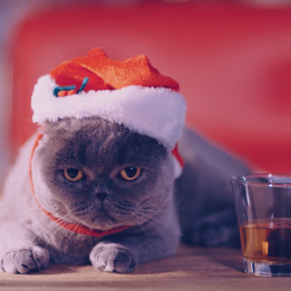 Είναι ο Yoda της Newtons ο Μaster της Διαφήμισης;