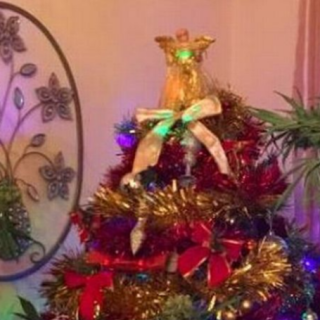 Ένα Χριστουγεννιάτικο δέντρο… ποινικό αδίκημα