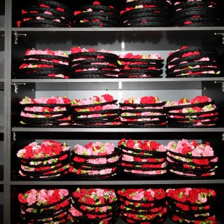 «Απόγευμα; Εδώ μέσα είναι πάντα νύχτα»