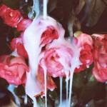 Ο erotica Ντόναλντ Τραμπ εκτίθεται…