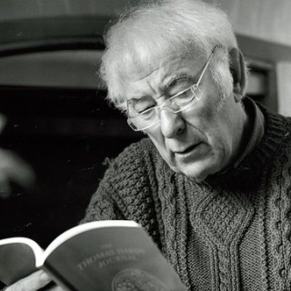 Casualty by Seamus Heaney