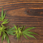 Σε τρεις περιπτώσεις είναι θεραπευτική η κάνναβη