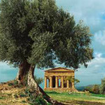 Ένας Σικελός καλεί τον οίκο Gucci στους αρχαιοελληνικούς ναούς του Ακράγαντα