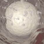 Ένα βήμα πιο κοντά στο ανδρικό αντισυλληπτικό