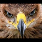 Αυτή είναι η πρώτη mini camera που εκτυπώνεται 3D