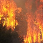 Σχεδόν 9 στις 10 πυρκαγιές ξεκινούν από ανθρώπους