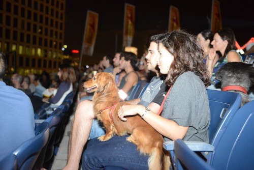 «Ντίτζι Ντογκ»: Η πρώτη ψηφιακή υπηρεσία για σκύλους από την πόλη του Τελ Αβίβ