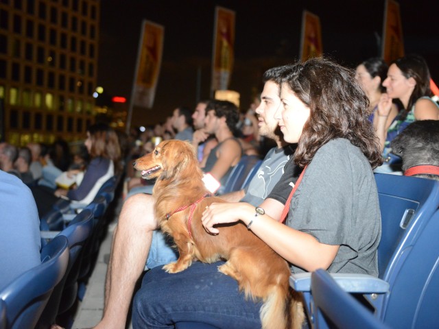 «Ντίτζι Ντογκ»: Η πρώτη ψηφιακή υπηρεσία για σκύλους από την πόλη του Τελ Αβίβ