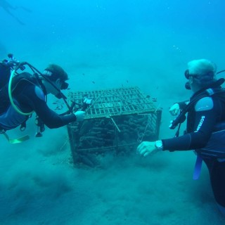 Θαλασσίτης: ένα κρασί από το βυθό της Σαντορίνης