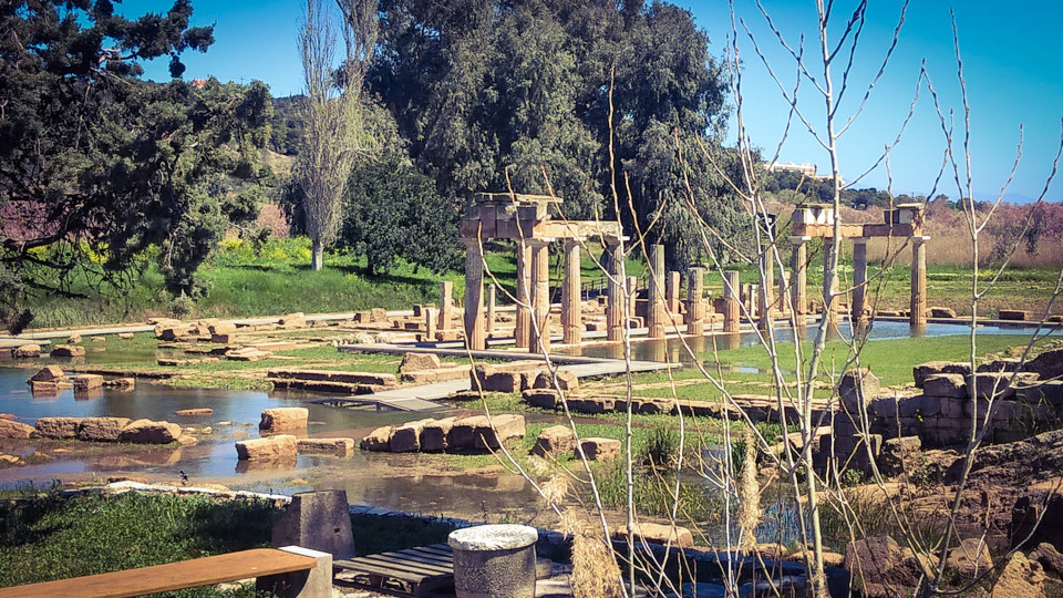 AdobePhotoshopExpress_42a2cb3a0a4a454a9775f63eb4d3d809