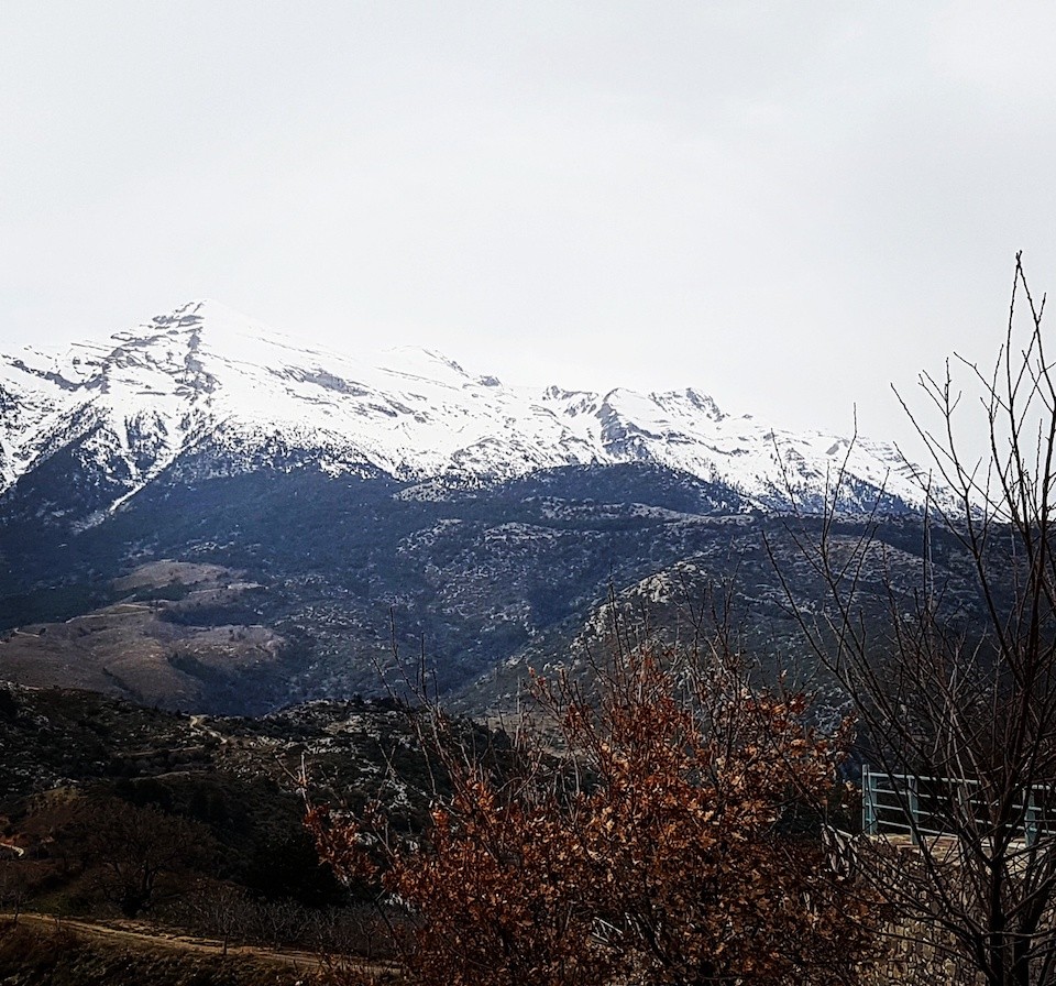 IMG_20170226_162539_191