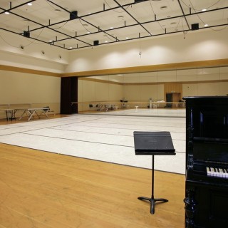 Προβάροντας στο Μέγαρο