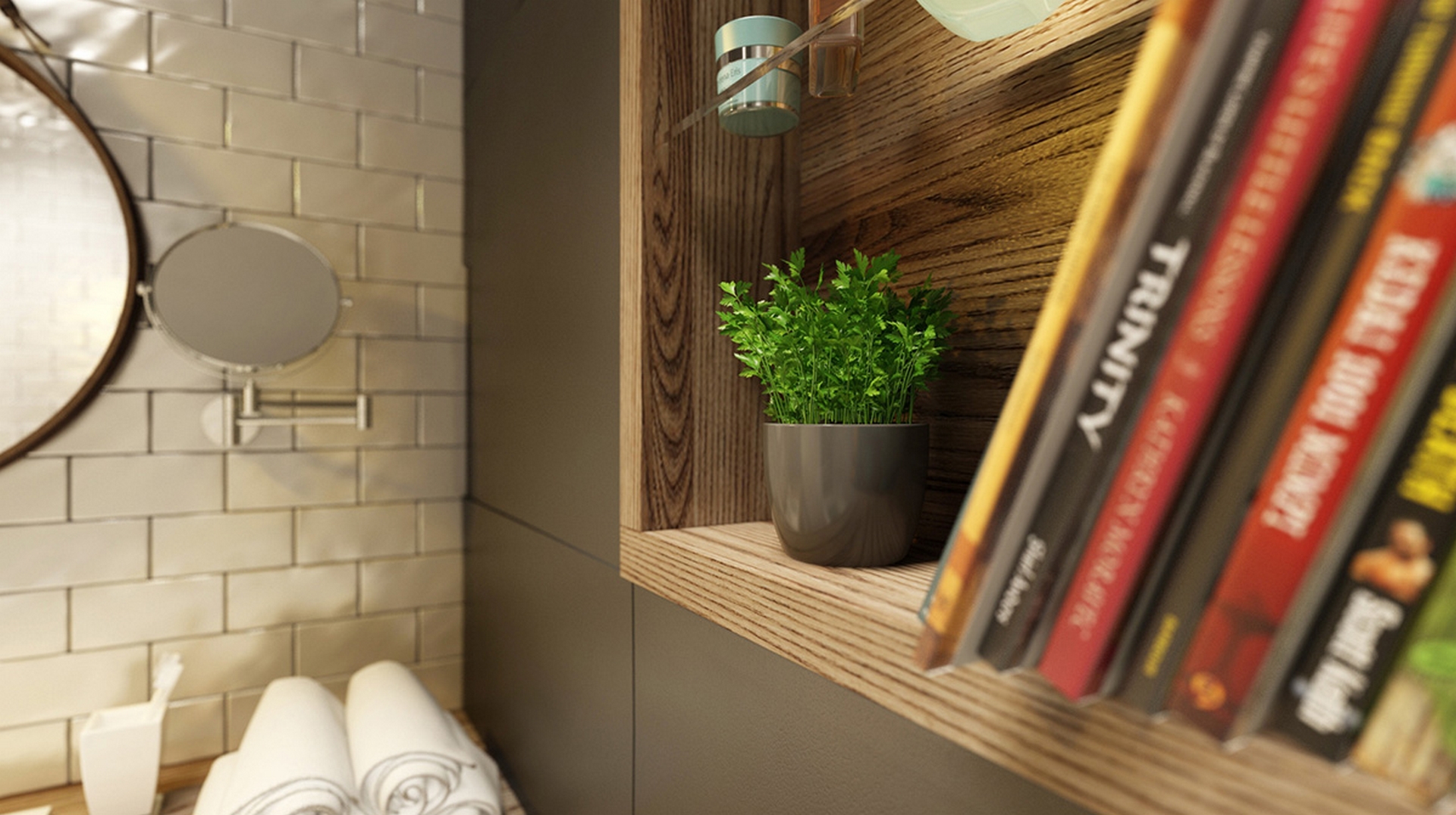 bathroom-books-mirror-