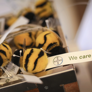 To πρόγραμμα Bee Care της Bayer φροντίζει να σώσει τις μέλισσες