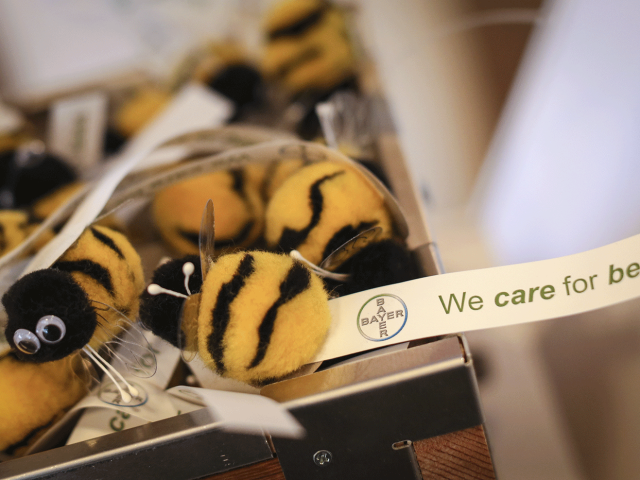 To πρόγραμμα Bee Care της Bayer φροντίζει να σώσει τις μέλισσες