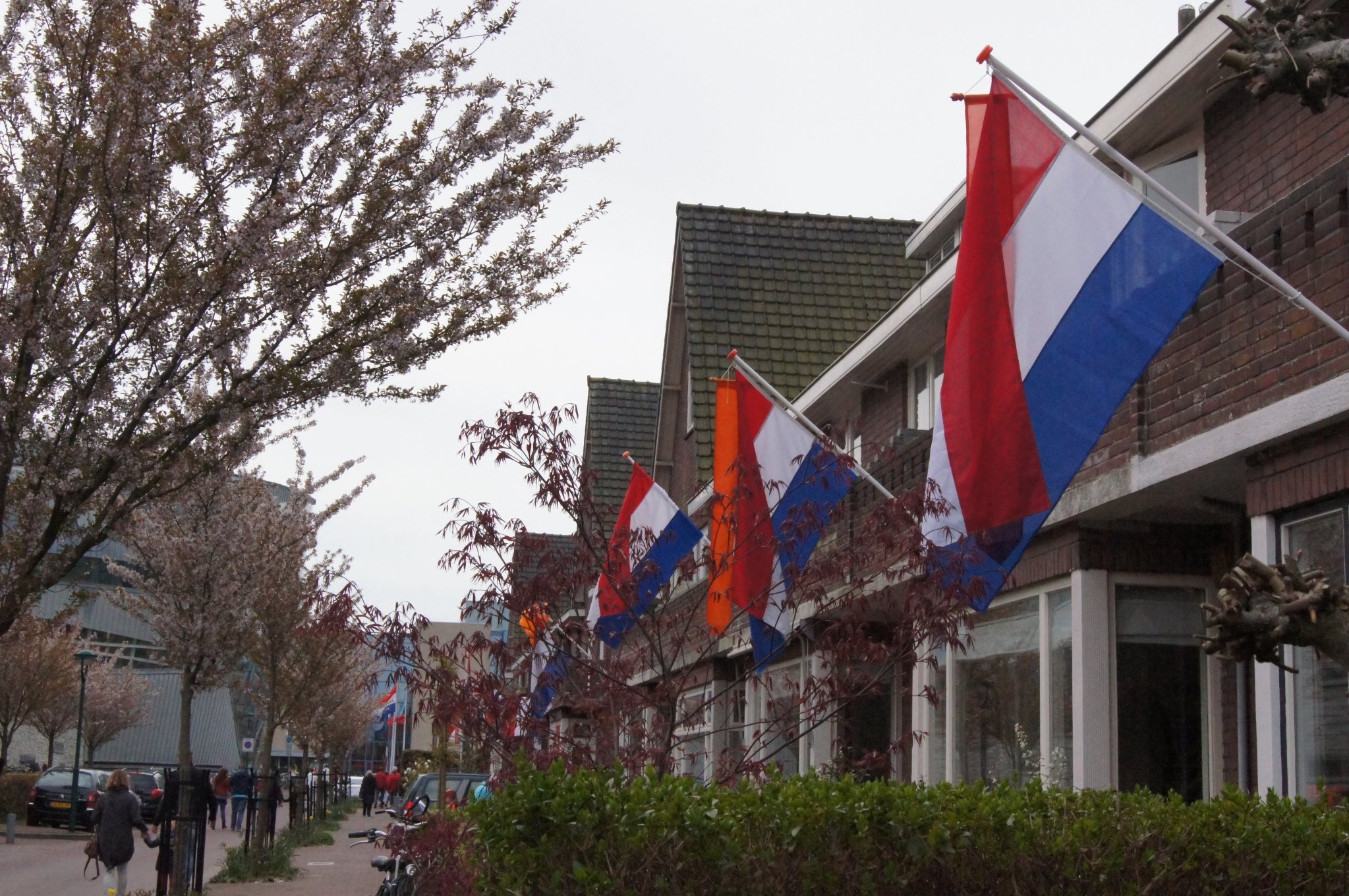 Οι Ολλανδοί πολίτες καλούνται να επαναπροσδιορίσουν τις αξίες που  επιθυμούν να πρεσβεύει η σημαία τους. 