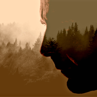 Αυτό το Σημείο της Γης