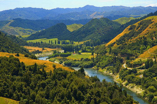 Ως ζωντανή οντότητα αναγνωρίστηκε ο ποταμός Whanganui στη Νέα Ζηλανδία