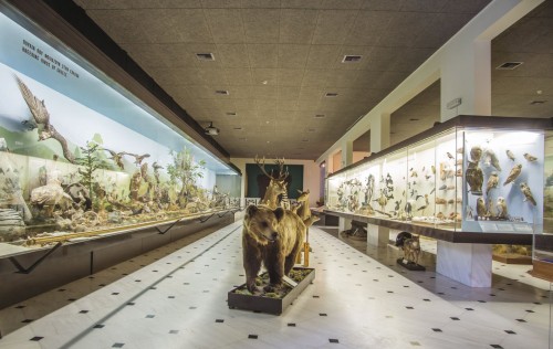 Το 20ο Πασχαλινό Παζάρι στο Μουσείο Γουλανδρή Φυσικής Ιστορίας