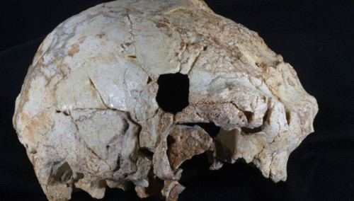 Πορτογαλία: Ανακαλύφθηκε «Νέαντερταλ» κρανίο 400.000 ετών
