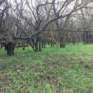 Όνειρο μιας βροχερής ημέρας!