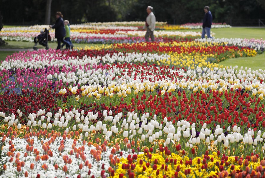 epa05902991 Visitors stroll through a field of flowering Tulips at the Wilhelma Zoo in Stuttgart, Germany, 11 April 2017. According to weather forecasts, it is expected that the upcoming days will bring temperatures around to 18 degrees Celsius and a mix with clouds and sun in the South-West of the country.  EPA/RONALD WITTEK
