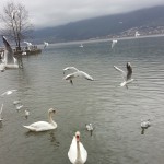 Χειμωνιάτικο το τοπίο στα Ιωάννινα