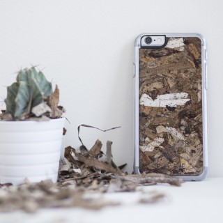 Η PHEE αποδεικνύει ότι τα φύκια είναι πιο χρήσιμα από τις μεταξωτές κορδέλες