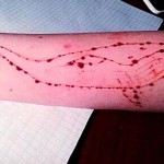 Οι «μπλε φάλαινες» σκορπίζουν το θάνατο στο Διαδίκτυο