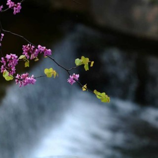 Υποχρεωτική αργία η Πρωτομαγιά