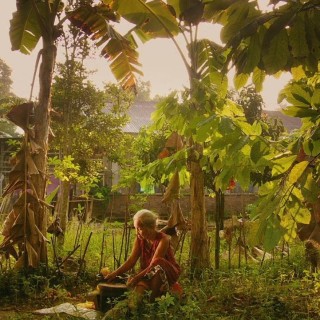 The Look of Silence: Υποδειγματικό ντοκιμαντέρ ελεγειακά γυρισμένο