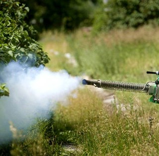 Θεσσαλονίκη: Μέχρι τέλη Απριλίου οι ψεκασμοί για τα κουνούπια