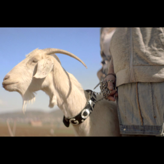 Στην In Da Farm, η κατσίκα δεν μασάει ταραμά…