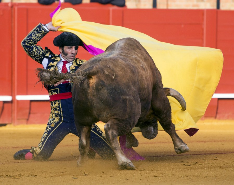 Οι ταυρομαχίες που γίνονται κατά περιόδους στο Feria de Abril (April's Fair) στο Maestranza γήπεδο ταυρομαχίας στην Σεβίλη της Ισπανίας είναι από τις πιο διάσημες παγκοσμίως.