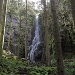 Τι ανακάλυψαν ερευνητές μέσα στα πλαστικά μπουκαλάκια νερό