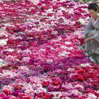 Έτσι μοιάζει μια επίσκεψη στη «Χρυσή Βδομάδα» της Ιαπωνίας