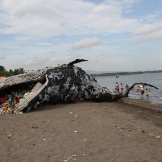 Μια φάλαινα φτιαγμένη από σκουπίδια